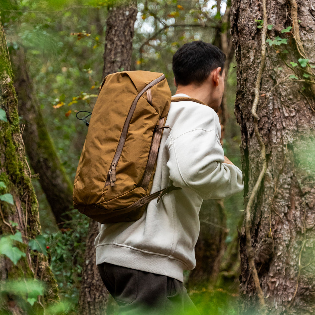 Daybreaker 2 – Able Carry (JP)