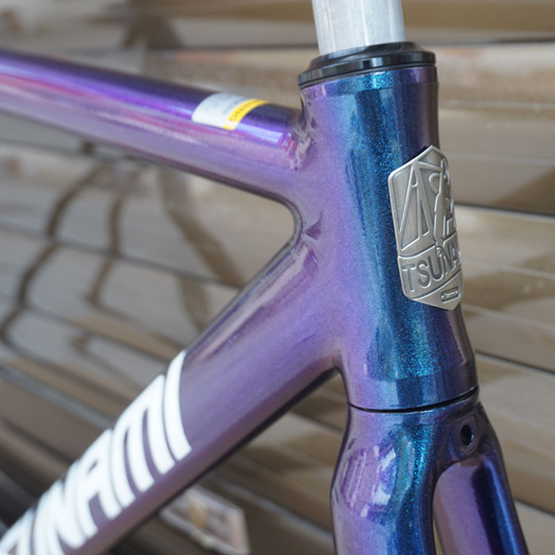 Chameleon Frame TSUNAMI SNM100 Fixie Frame Single Speed Fixed Gear