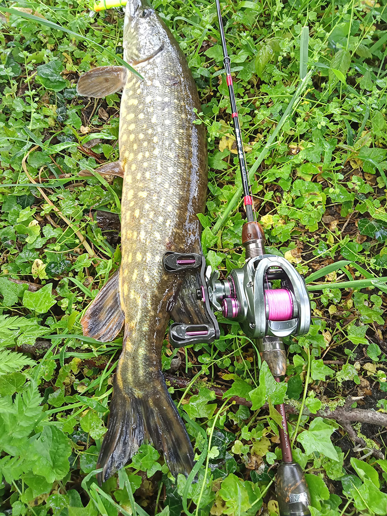 キングダム 135g ウルトラライト スプール ベイト ファインネス ベイト