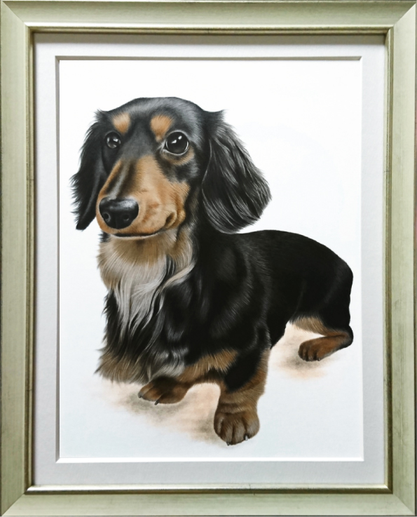 プロがお描きするペットの絵・オーダーメイド愛犬の絵・愛猫の絵