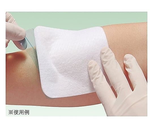 8-3607-03-51 （分割）エスアイエイド 7号 10枚入 100×200mm 18753