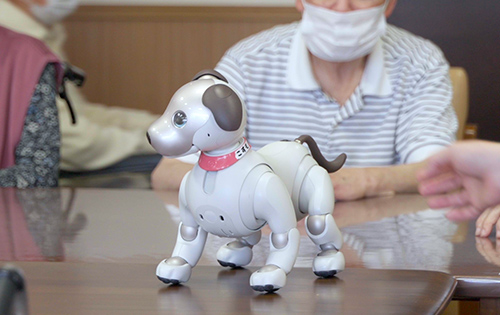 aiboの里親プログラム | aibo