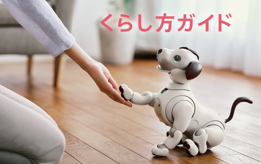 aibo エスプレッソ エディション | aibo