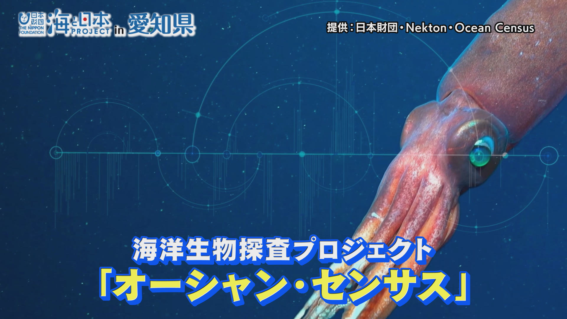 世界中の海を探査する「海洋生物探査プロジェクト」が始動しました