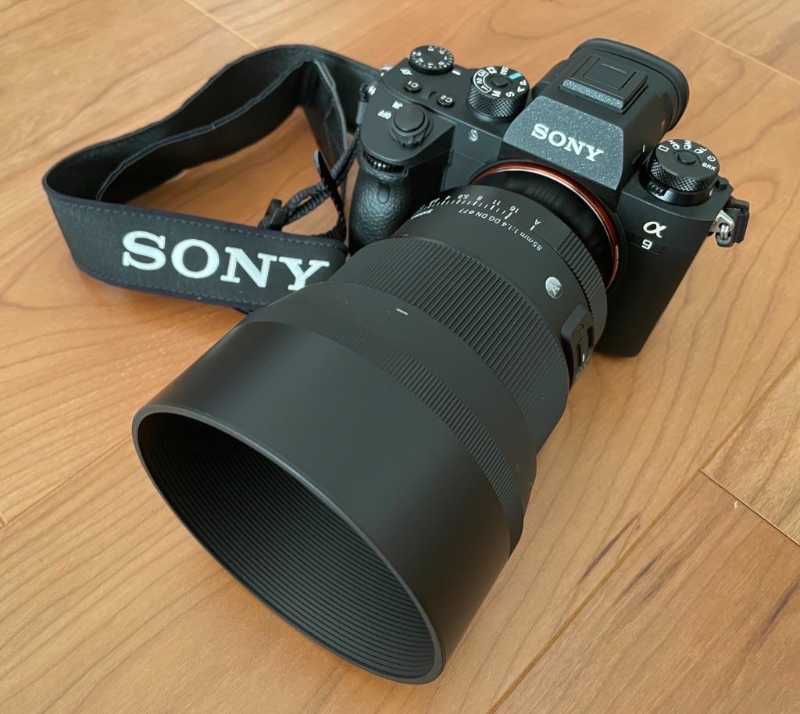 シグマ85mm F1.4 DG DN購入レビュー。比較＆ポートレート作例付き