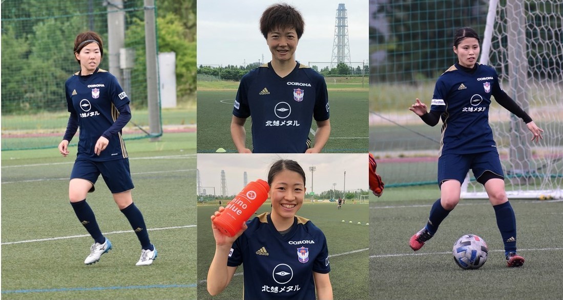 トレーニングウェア 受注販売のご案内 - アルビレックス新潟レディース