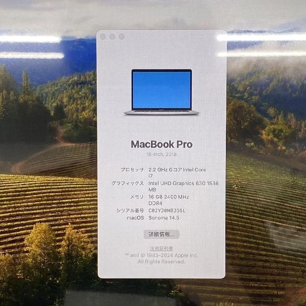 MacBook Pro 15インチ 2018 16GB 256GB A1990 極美品 シルバー | 中古