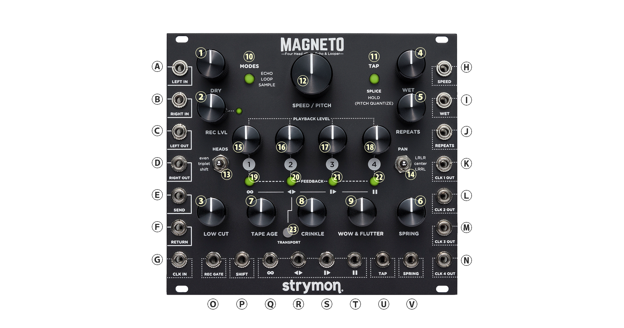 strymon | MAGNETO | ユーロラック用 dTape ディレイ | 製品情報