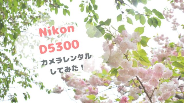 555a1b5e3e037f46ca175adcf6d644