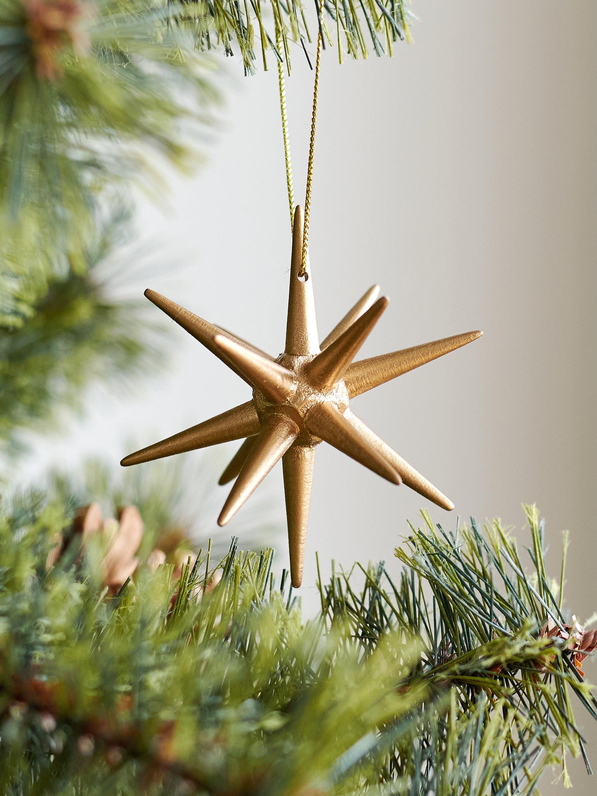 ベツレヘムの星 柊 – alsace_tree