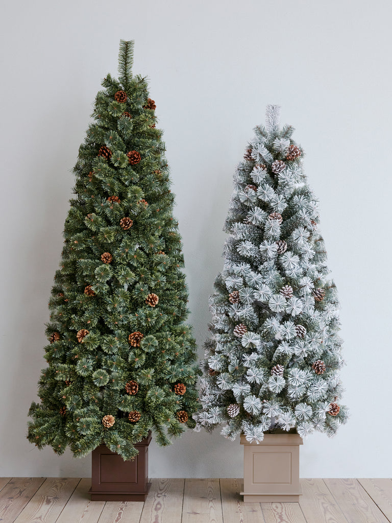 bigthum_pot_1024x1024.jpg?v=