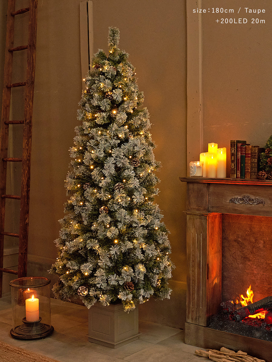 アルザスツリー ポット 樅 – alsace_tree