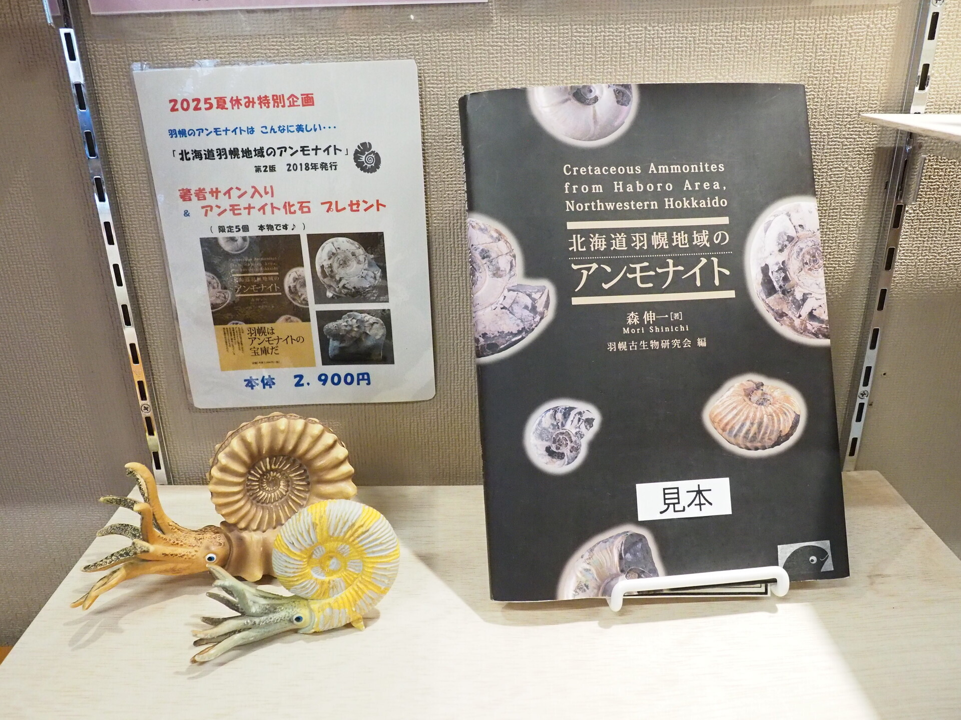 三笠市立博物館 特別展 見学してきました。 沼田町化石体験館 特別企画