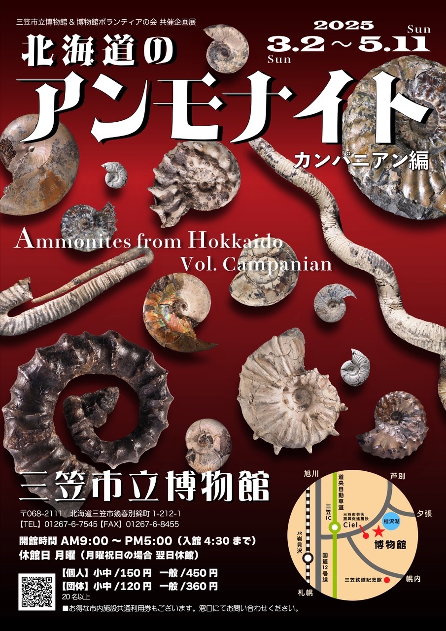 標本箱 その2 完成: 北海道＠アンモナイト日記