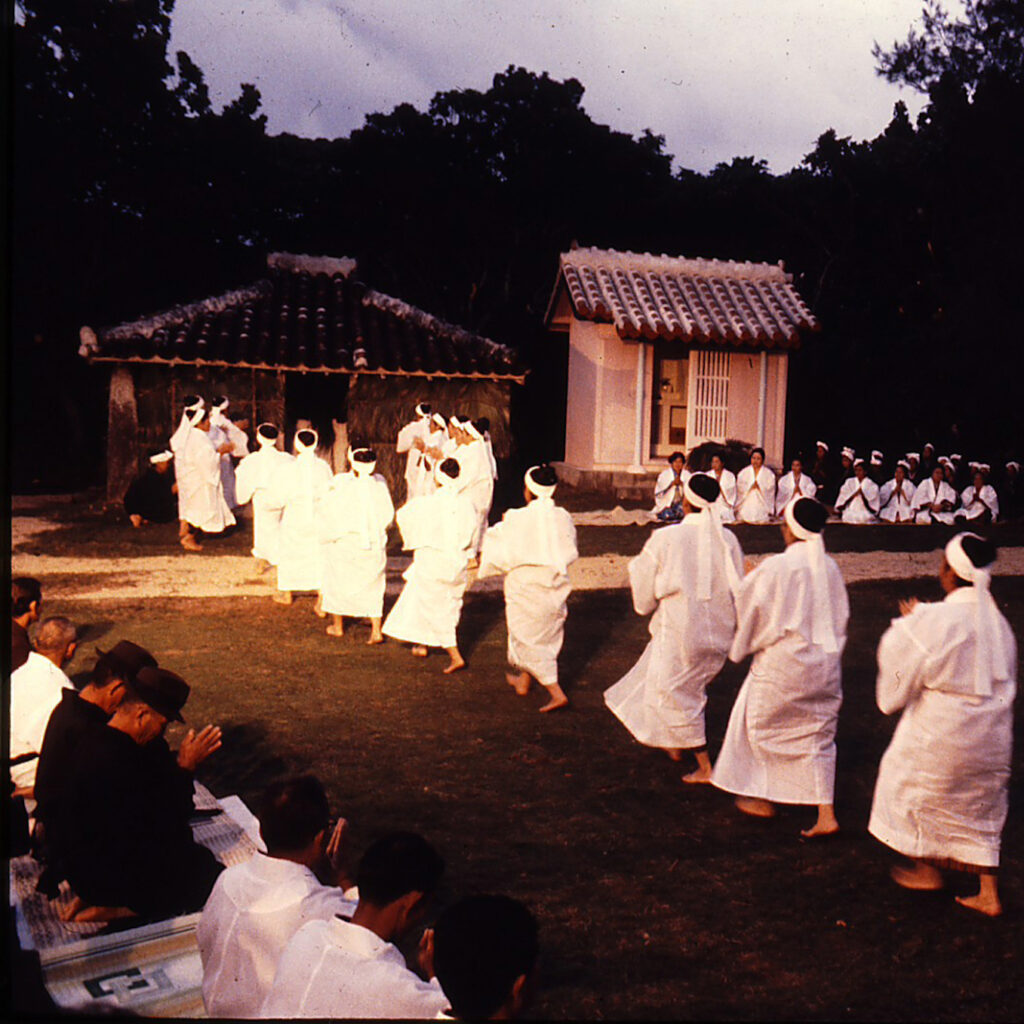 ジュゴン - あまくま琉球 amakuma ryukyu