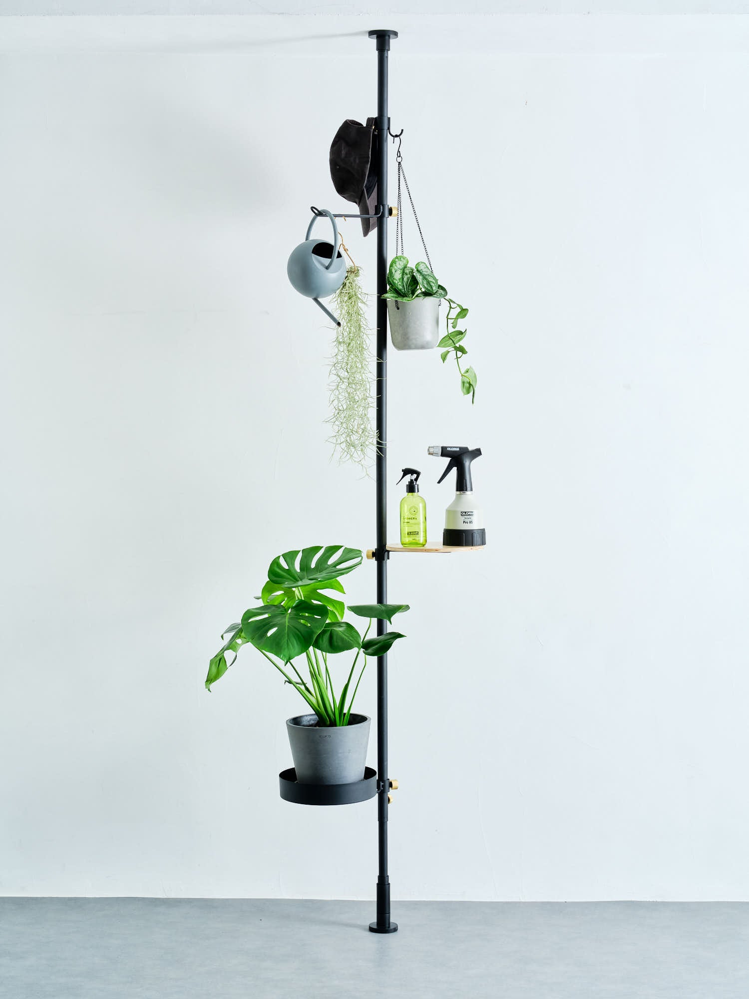 Hook A DRAW A LINE | 観葉植物・お花の通販 AND PLANTS (アンドプランツ)