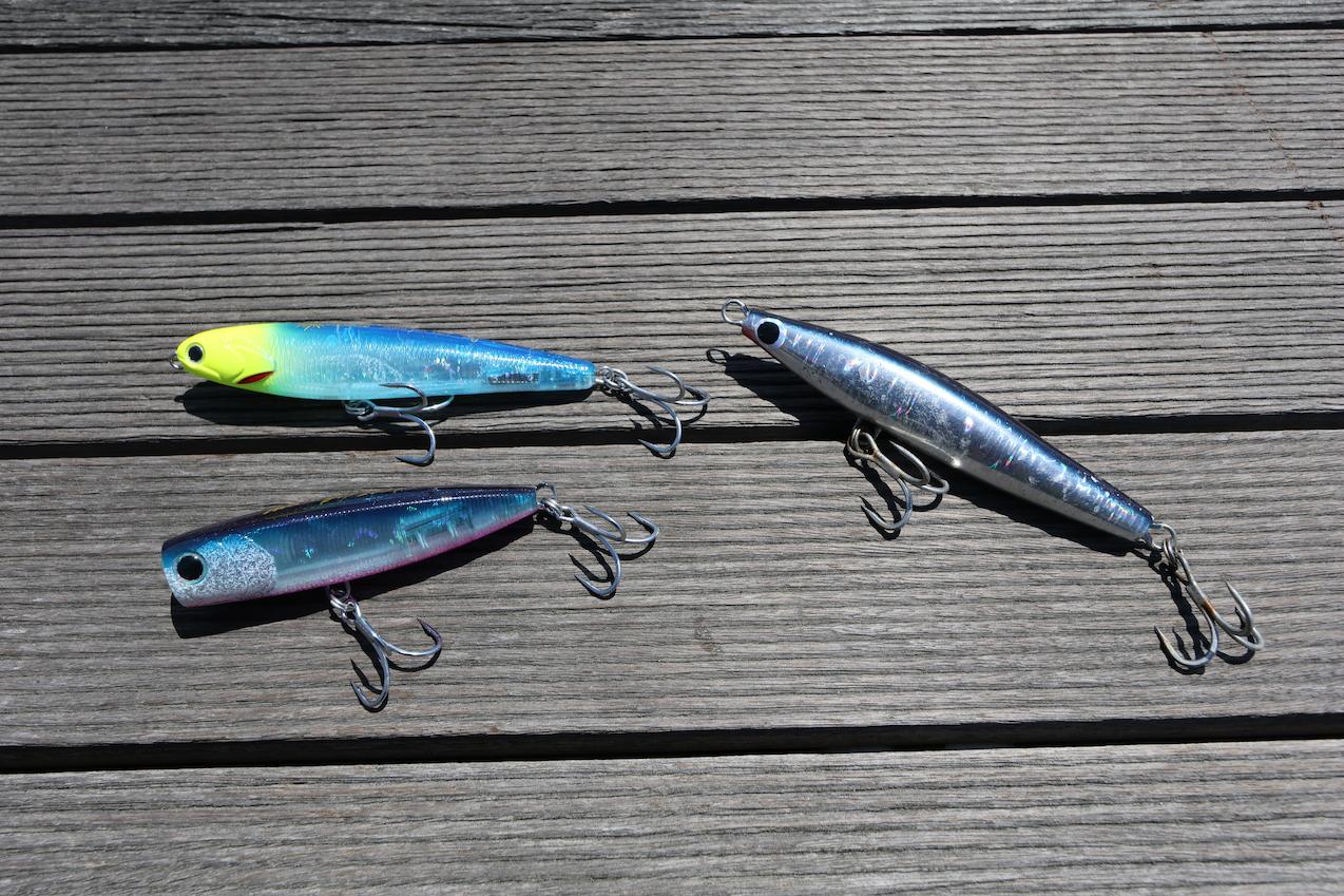 2024年・相模湾シイラキャスティング開幕！カツオもヒット！釣り方