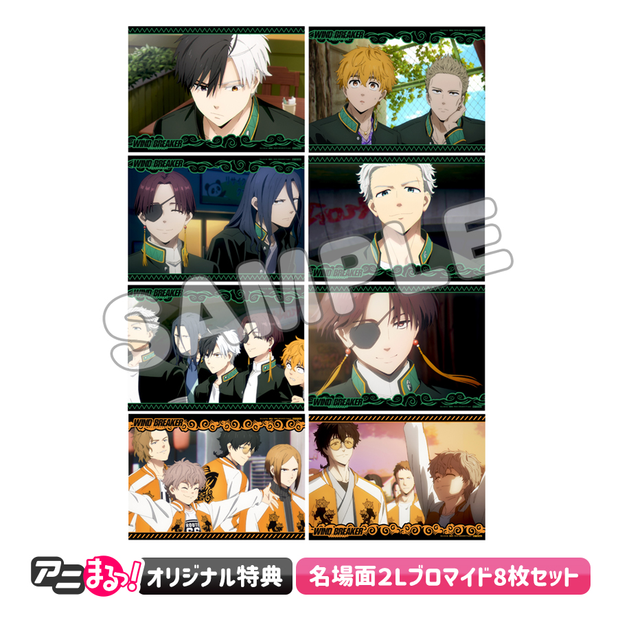 WIND BREAKER／全巻購入セット／DVD（アニまるっ！オリジナル特典付き