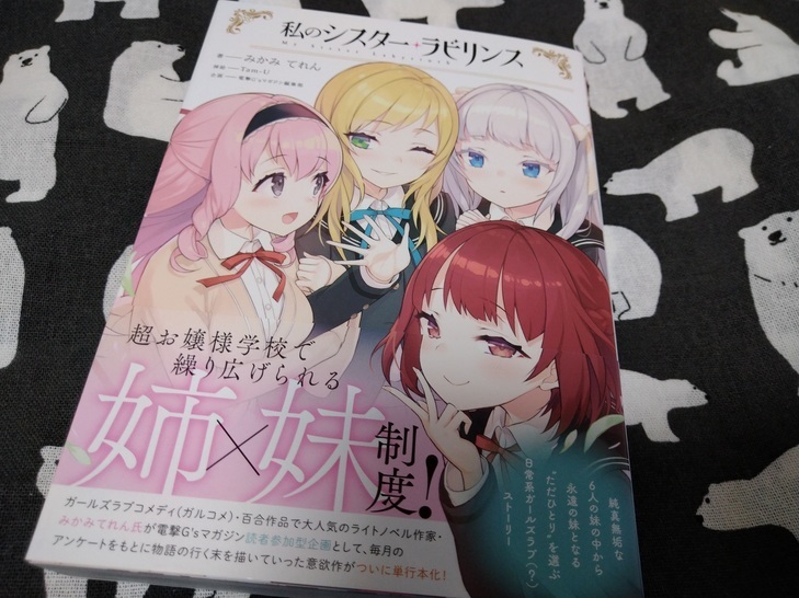 感想】『わたしが恋人になれるわけないじゃん、ムリムリ！ （※ムリじゃ