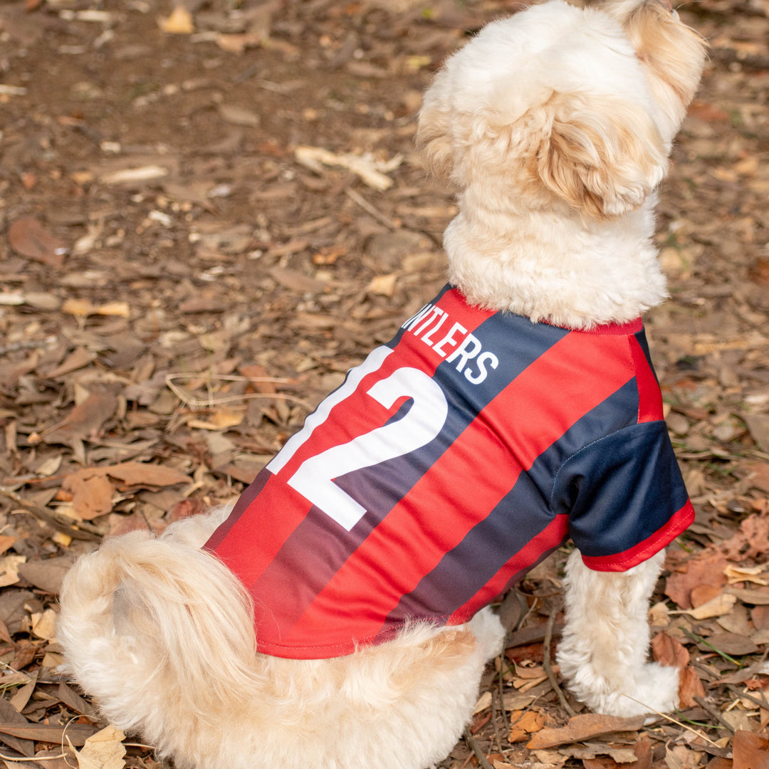 26オリジナルネームドッグユニフォーム【受注】 – 鹿島アントラーズFC