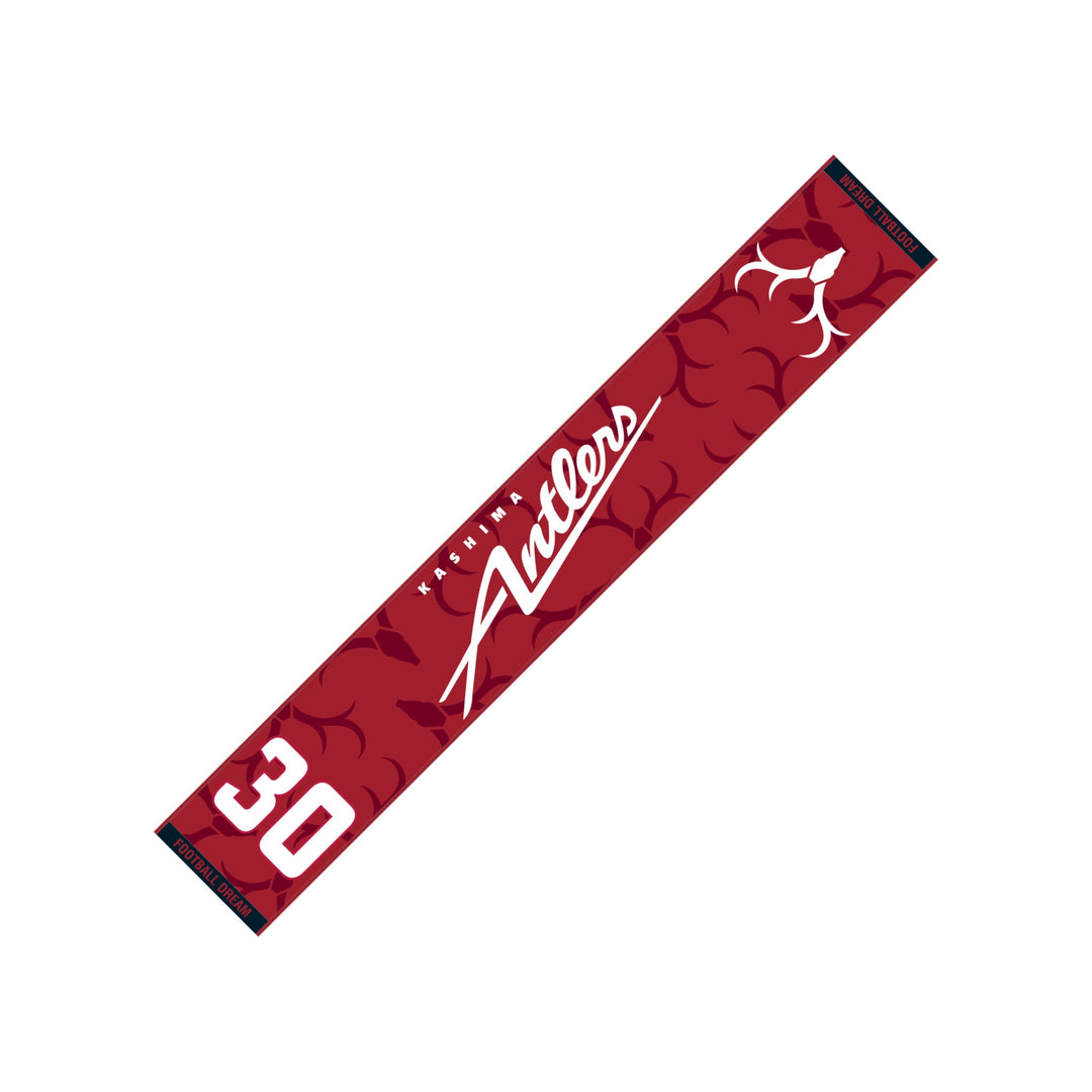 30_ea965eee-20dc-40c2-8ba6-