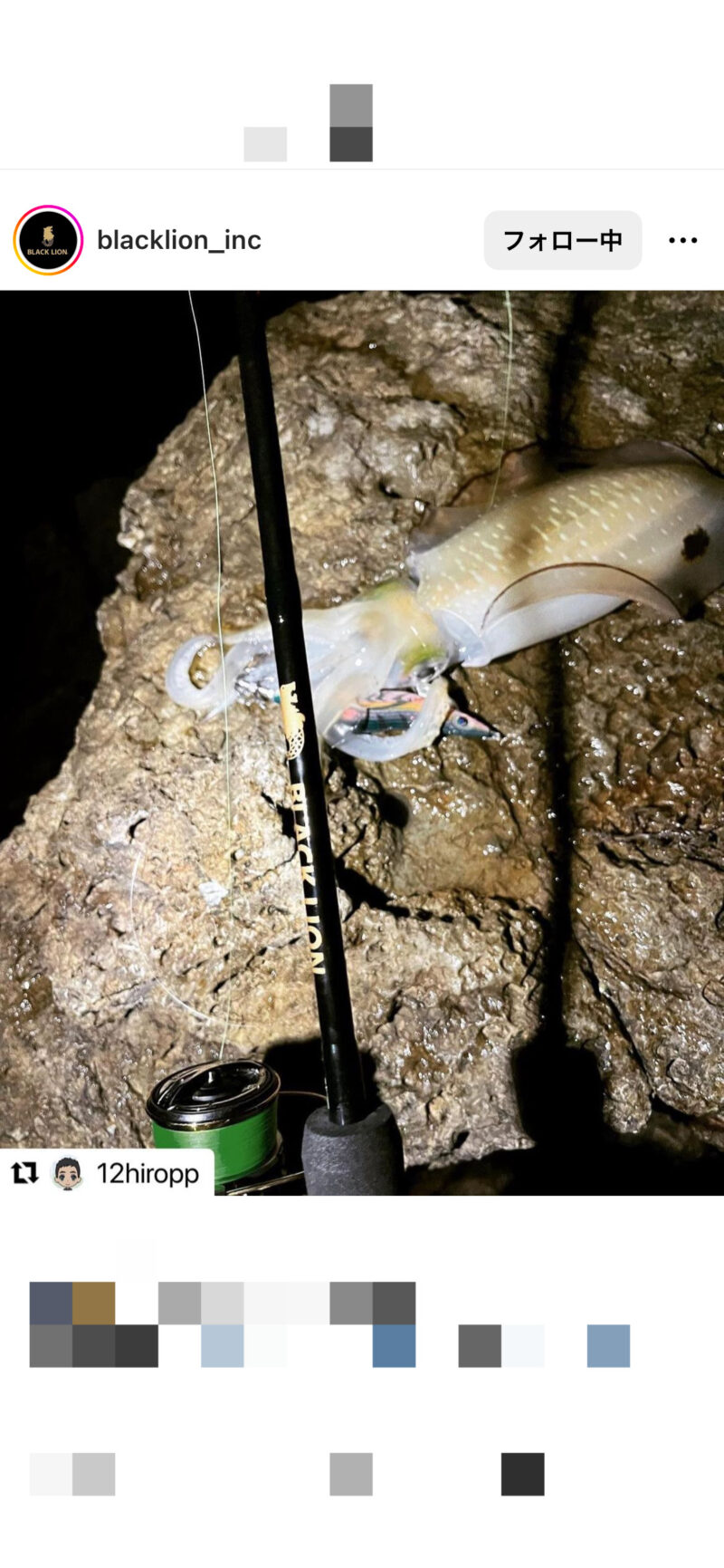 ブラックライオン、ラーテル77を使い込んでみての使用感やインプレ