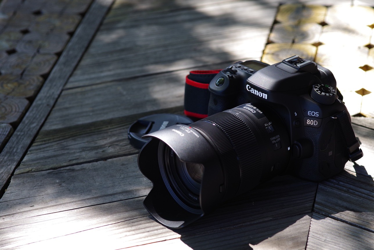 レンズレビュー】EOS 80Dで『18-135 USM』『55-250 STM』を使い込んで