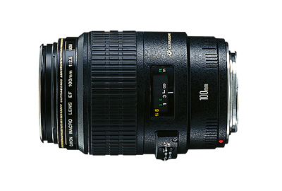 まだまだ現役！EF望遠マクロ EF100mm F2.8 マクロ USM【評価・作例