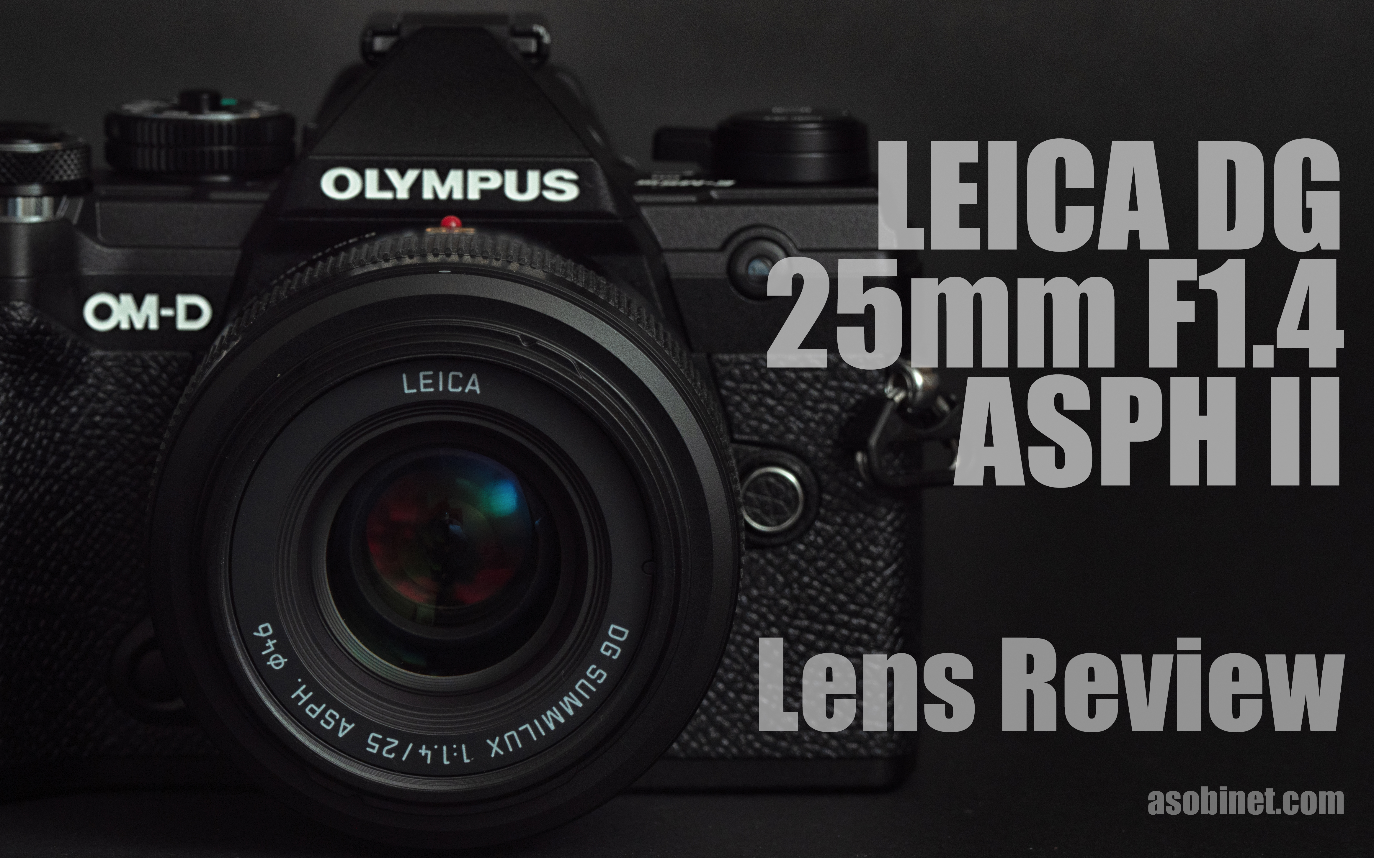 LEICA DG SUMMILUX 25mm / F1.4 II ASPH. 交換レンズレビュー【遠景解