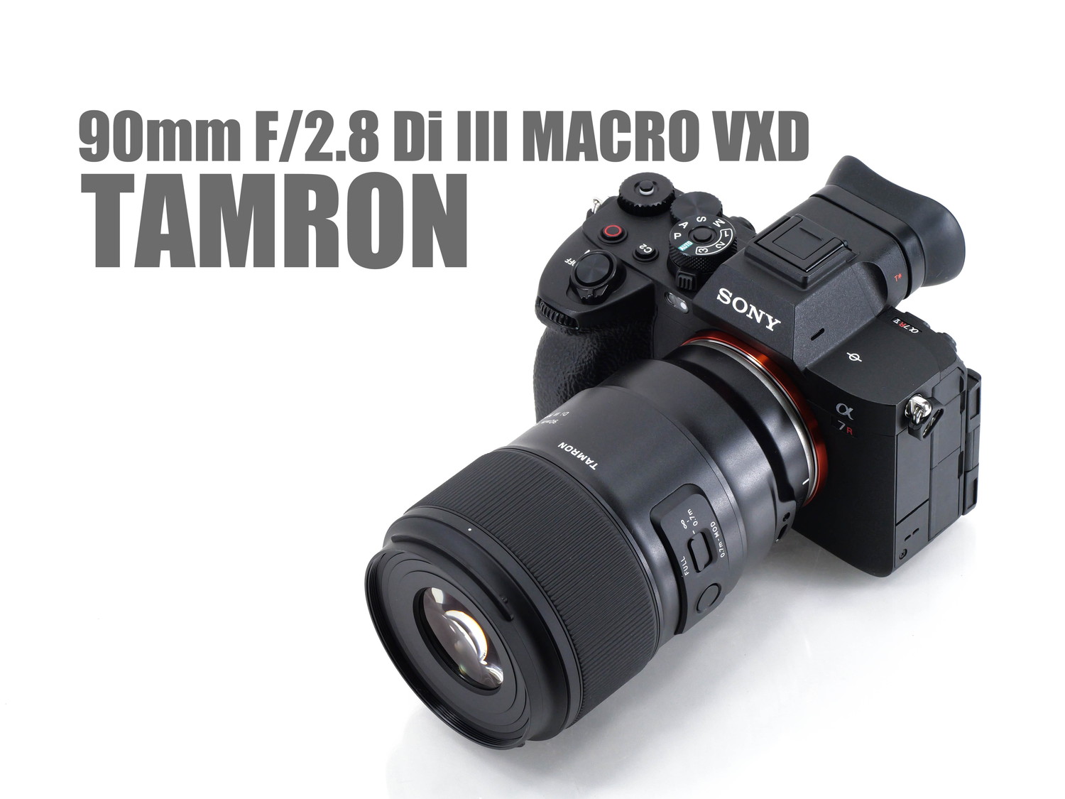 タムロン 90mm F/2.8 Di III MACRO VXD レンズレビュー完全版 - とるなら