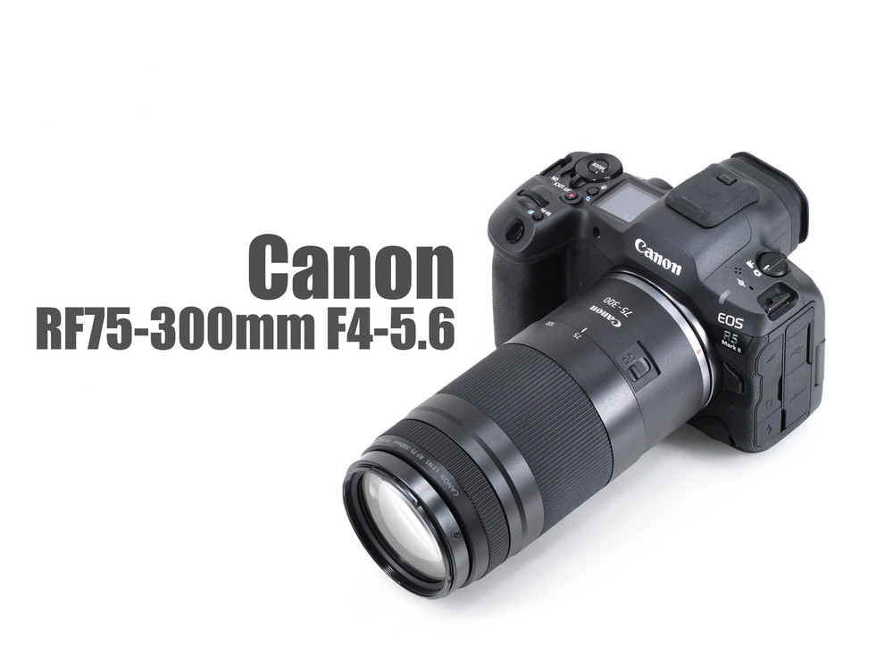 キヤノン RF75-300mm F4-5.6 レビューVol.1 外観・操作・AF編 - とるなら