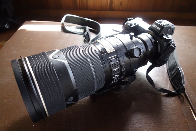 ニコン純正サンニッパ「AF-S VR Nikkor 300mm f/2.8G IF-ED」が別次元