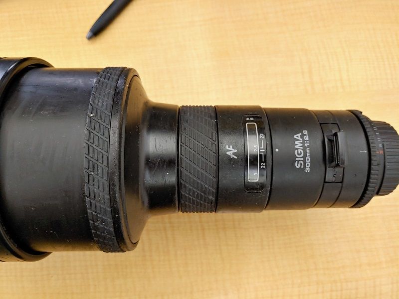 ニコン純正サンニッパ「AF-S VR Nikkor 300mm f/2.8G IF-ED」が別次元