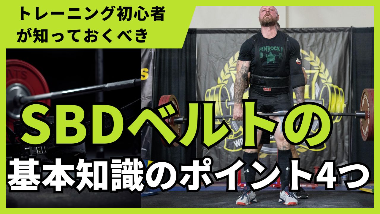 トレーニング初心者が知っておくべき SBDベルトの基本知識のポイント4