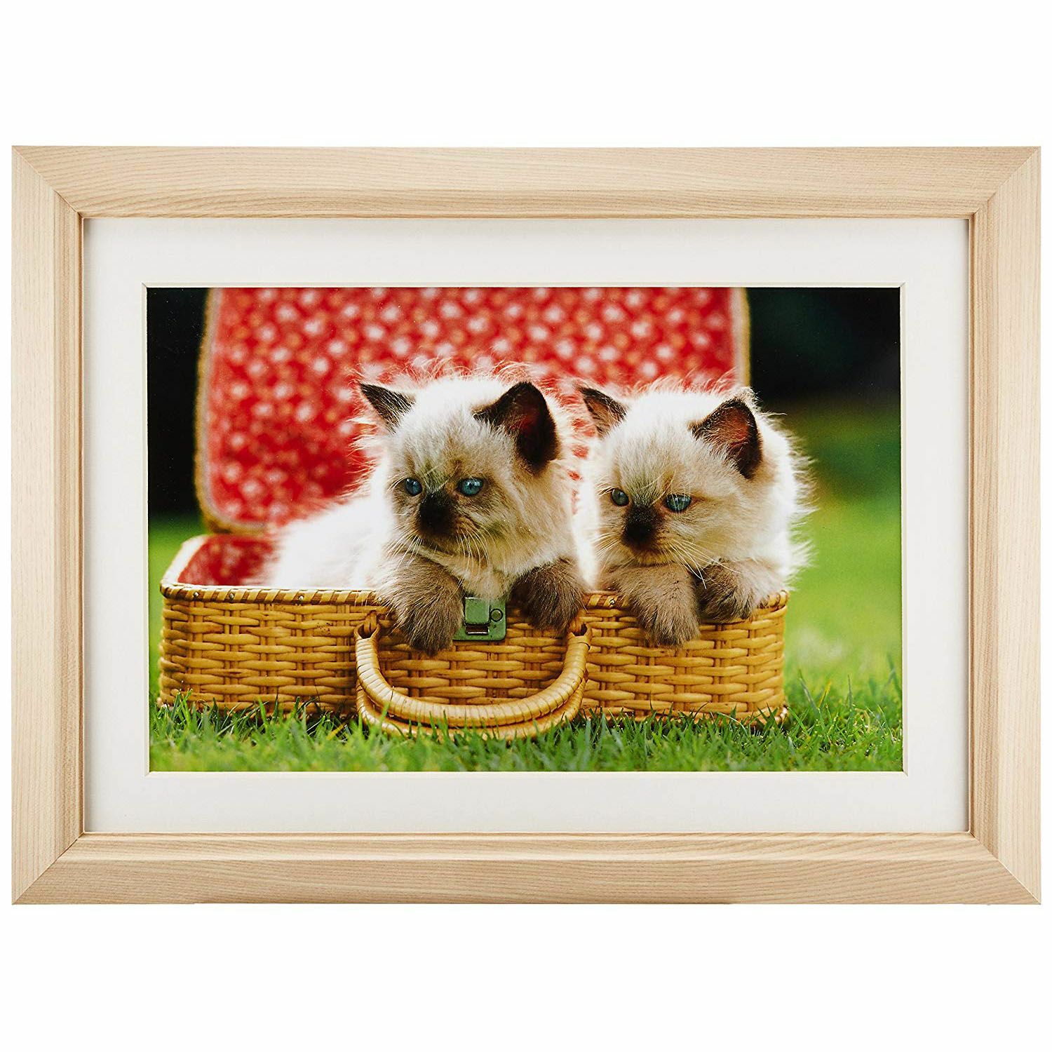 FUJICOLOR 木製額縁 M12 アクリル ワイド6切 | アサヌマネットショップ