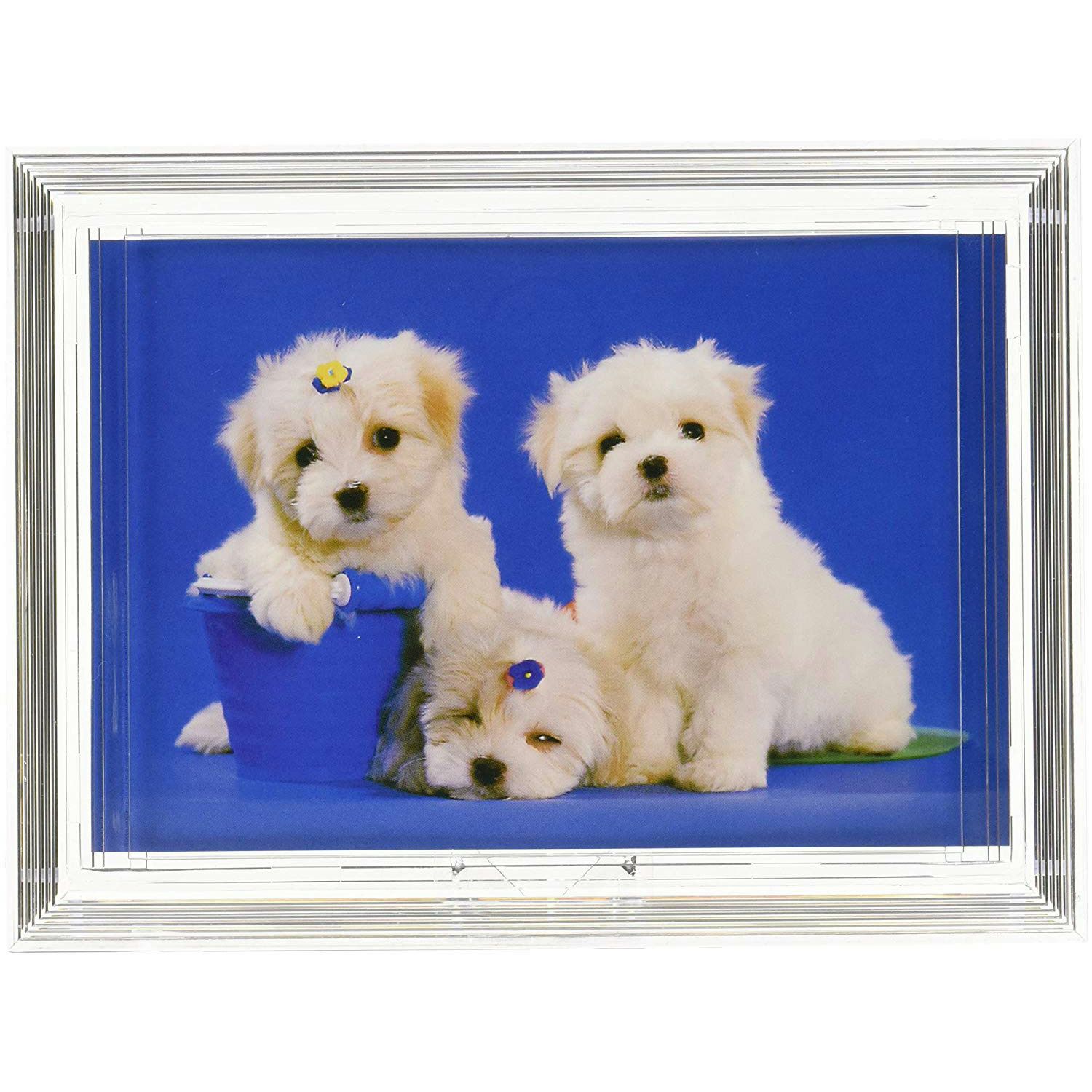 000000001169-01-l.jpg?t=