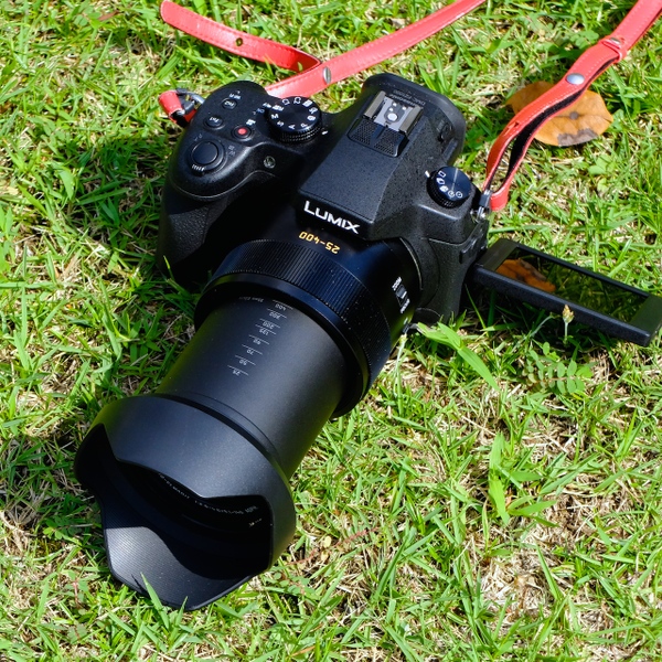 ASCII.jp：新たなベスト猫撮りカメラ!? 光学16倍ズーム搭載の「LUMIX