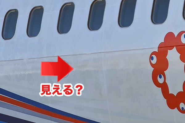 希少】ANA B737 Aviationtag ミックスカラー 希少】ANA B737