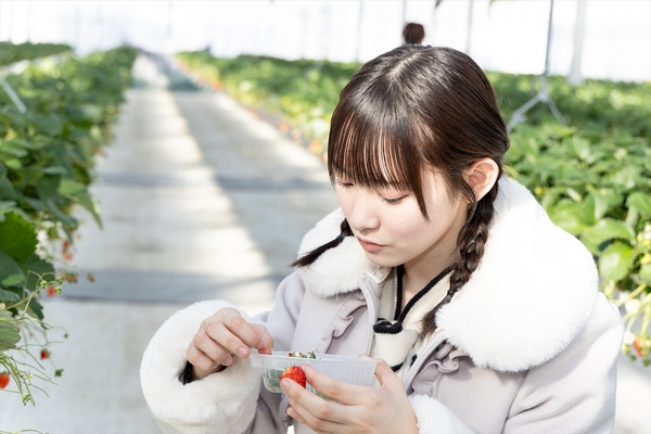 ニアジョイ・市原愛弓と山野愛月が常磐道を通って茨城の空中イチゴ狩り