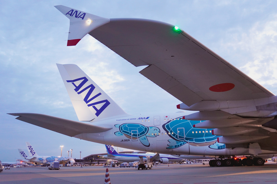 成田に3機揃った！ ANAのエアバス A380型機「FLYING HONU」3号機
