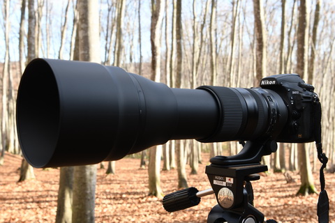 特別企画：「G2」になって何が変わった？タムロン新SP 150-600mm徹底