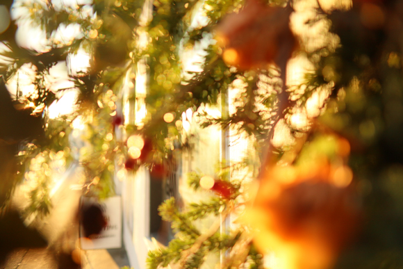 SIGMA EF-Mレンズ連続レビュー】「EOS Kiss M × SIGMA」で撮る“広角単