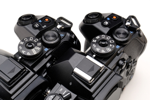 新製品レビュー：OLYMPUS OM-D E-M1 Mark III - デジカメ Watch