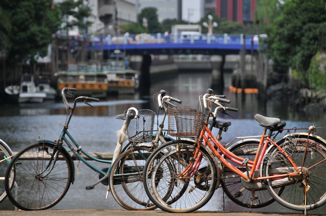 交換レンズ実写ギャラリー：ニコン「AF-S DX NIKKOR 18-200mm F3.5-5.6