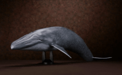 海洋堂、「メガソフビアドバンス シロナガスクジラ」を発売 - GAME Watch