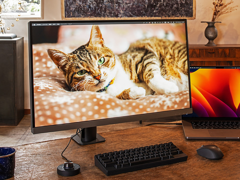 これは普通じゃないモニター。超きれいでムラがなく、しかもアーム付き