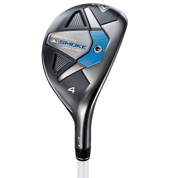 パラダイム Ai スモーク MAX ファスト／PARADYM Ai SMOKE MAX FAST