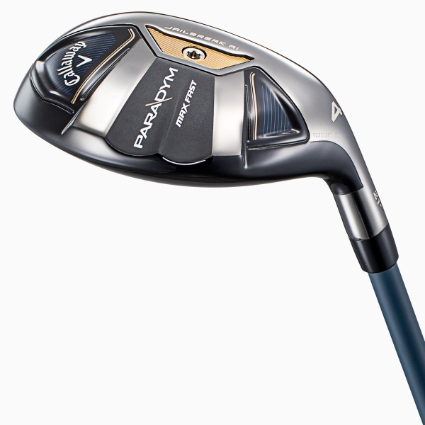 パラダイム MAX ファスト／PARADYM MAX FAST ユーティリティー