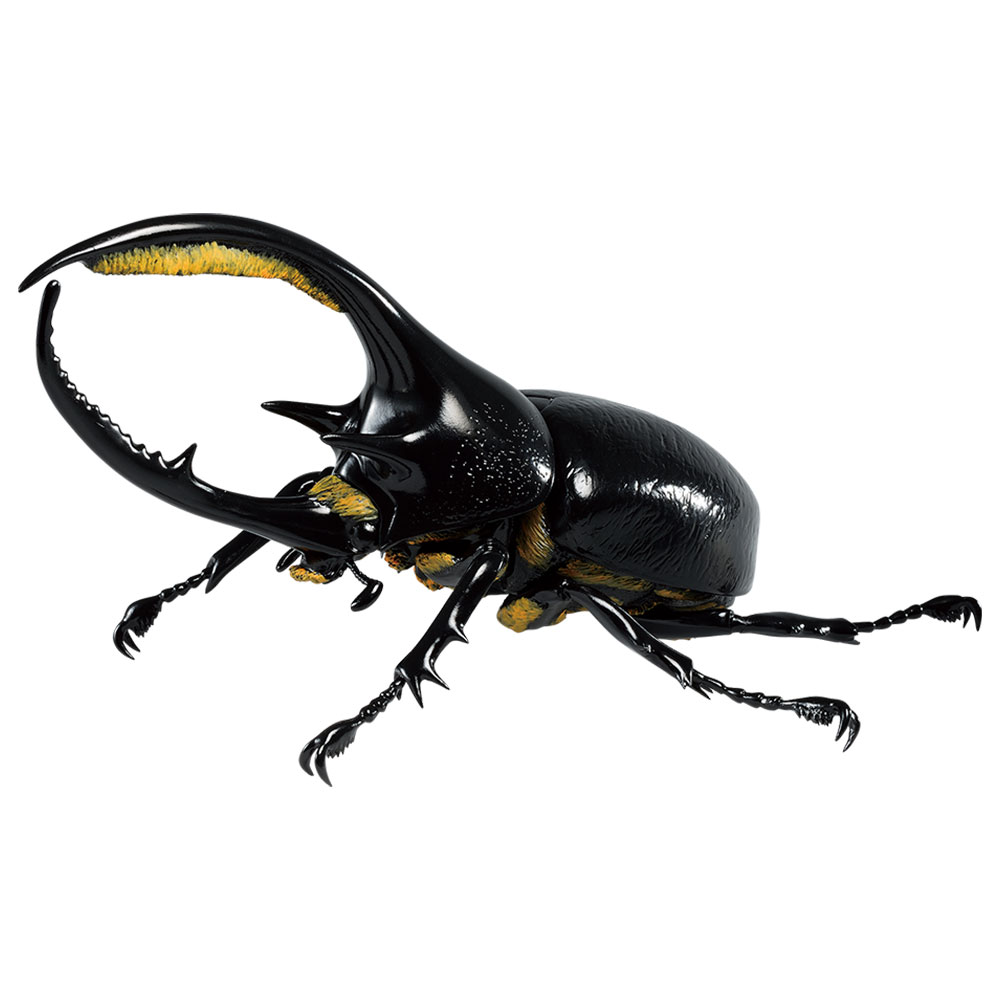 一番くじ昆虫 世界の昆虫博物館｜一番くじ倶楽部｜BANDAI SPIRITS公式