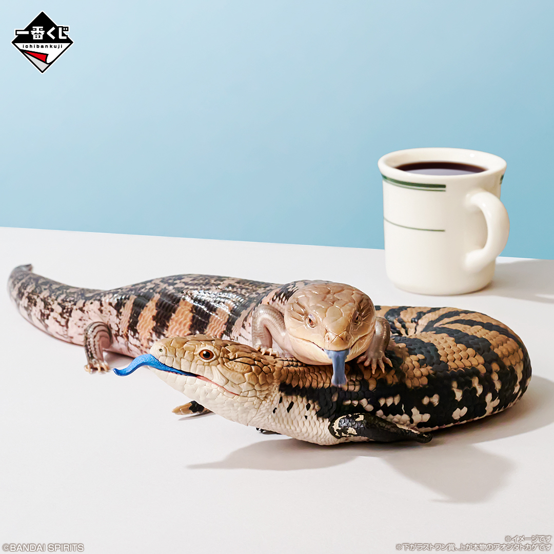 一番くじ 爬虫類＆両生類～Tiny Friends～vol.2｜一番くじ倶楽部